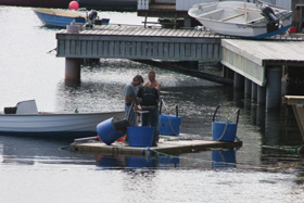 float_l.jpg float_l.jpg